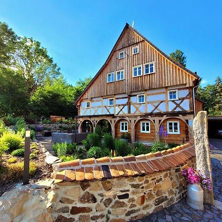 Pferdehof Am Burgsberg, Ferienzimmer, Monteurzimmer Seifhennersdorf المظهر الخارجي الصورة