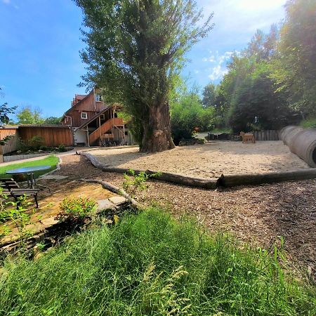 Pferdehof Am Burgsberg, Ferienzimmer, Monteurzimmer Seifhennersdorf المظهر الخارجي الصورة